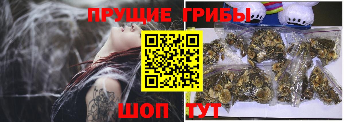 Галлюциногенные грибы Magic Shrooms Дмитров