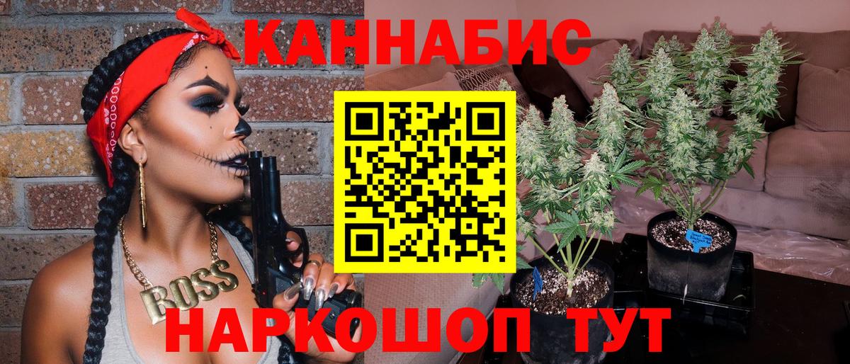 Шишки марихуана сатива Дмитров